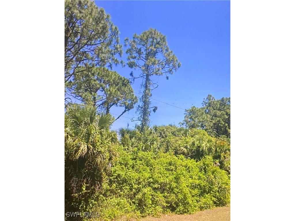 931 Sentinela Boulevard Lehigh Acres FL 33974 225080451 image1