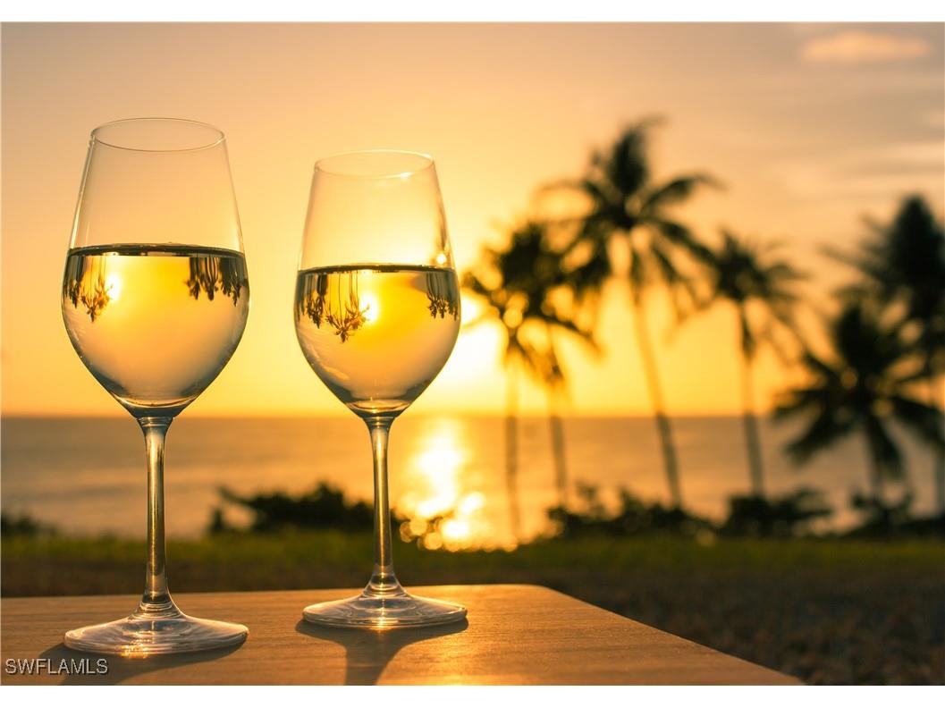 9310 Spanish Moss Way Bonita Springs FL 34135 224070173 image37