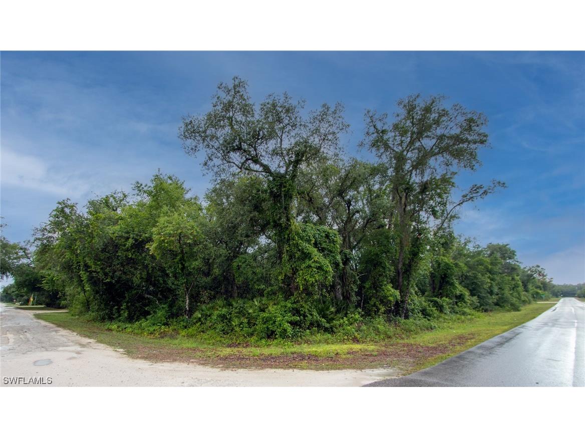 9315 Ancon Avenue Webster FL 33597 223041879 image1