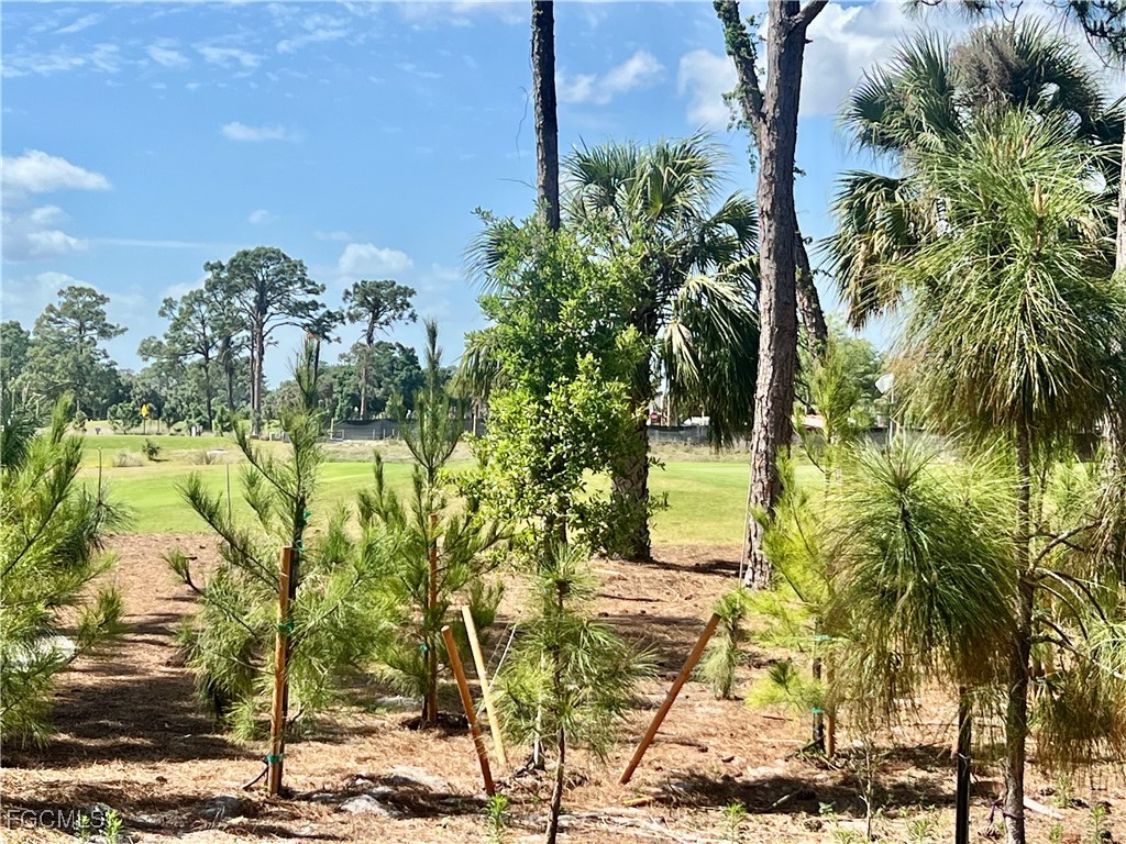 9317 Aegean Circle Lehigh Acres FL 33936 2026001007 image10