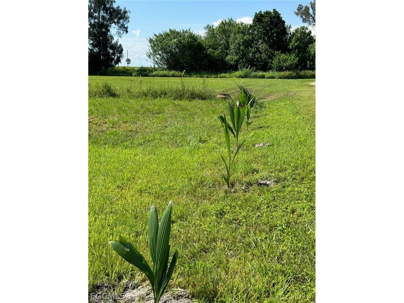 932 Meyerchick Drive SW Moore Haven FL 33471 2026011007 image8