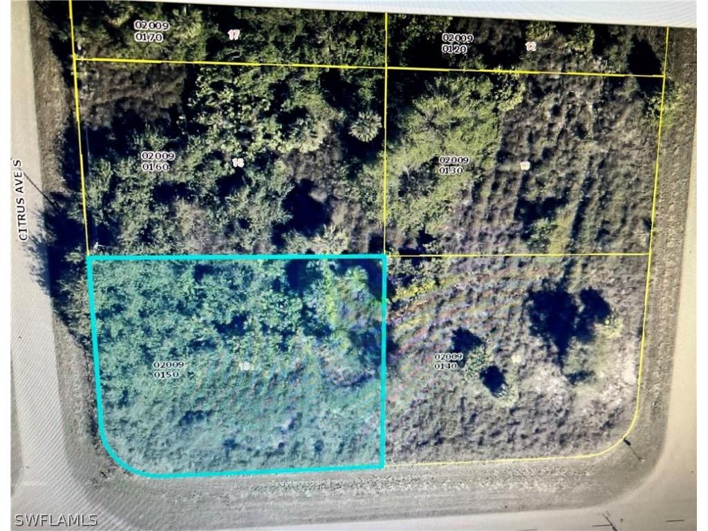 933 Citrus Avenue S Lehigh Acres FL 33974 224028865 image1