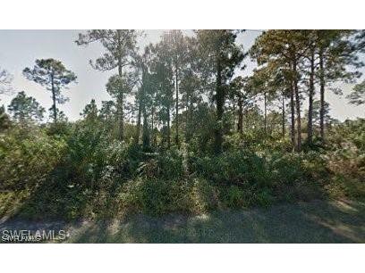 934 Alcalde Street E Lehigh Acres FL 33974 223031565 image1