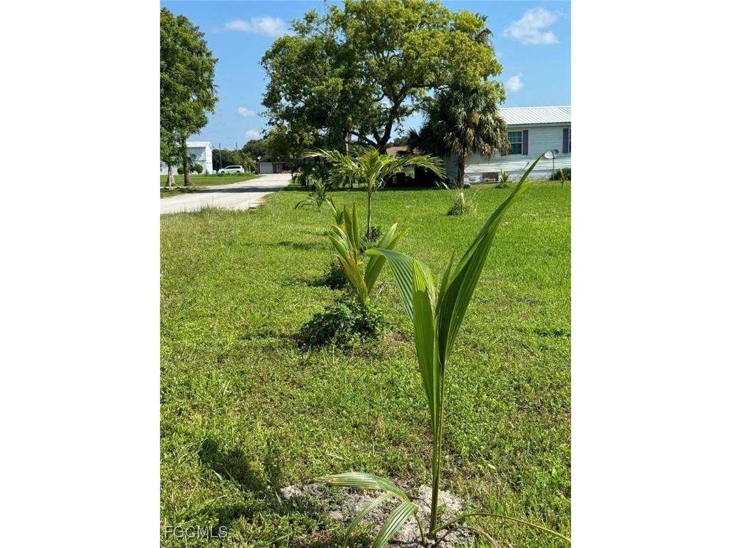 938 Meyerchick Drive Moore Haven FL 33471 2025004913 image11