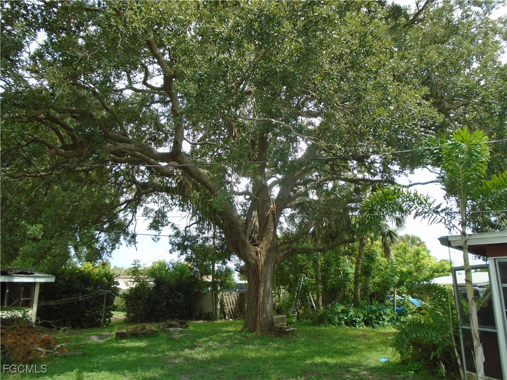 938 Tropical Palm Avenue North Fort Myers FL 33903 2025005072 image9