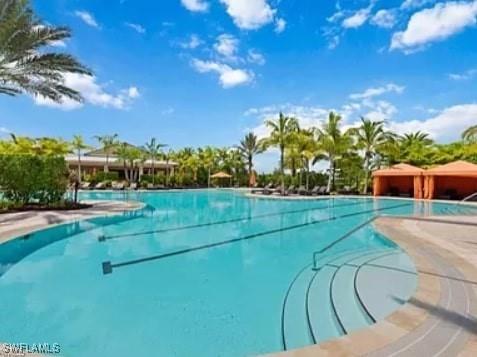 9397 Pocida Court #203 Naples FL 34119 225069317 image8