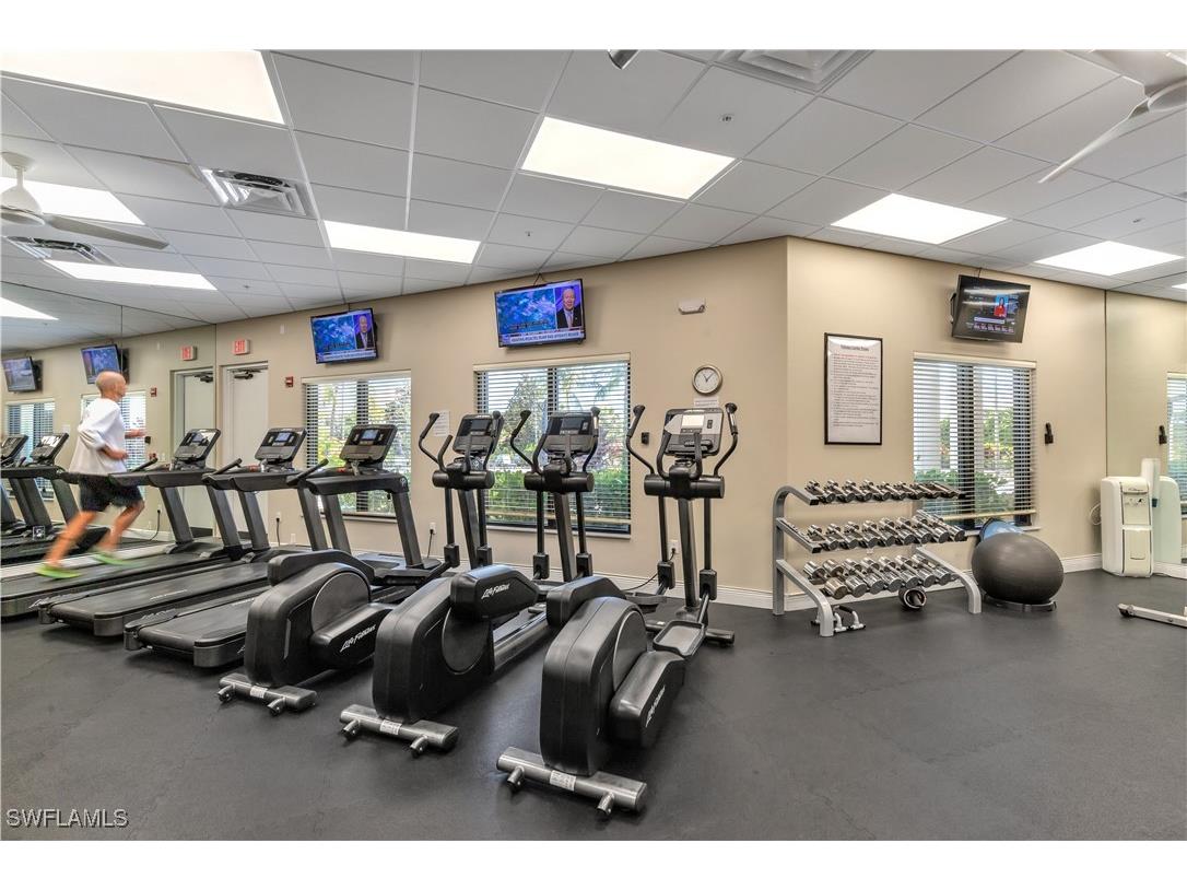 9409 La Bianco Street Estero FL 33967 225081772 image47