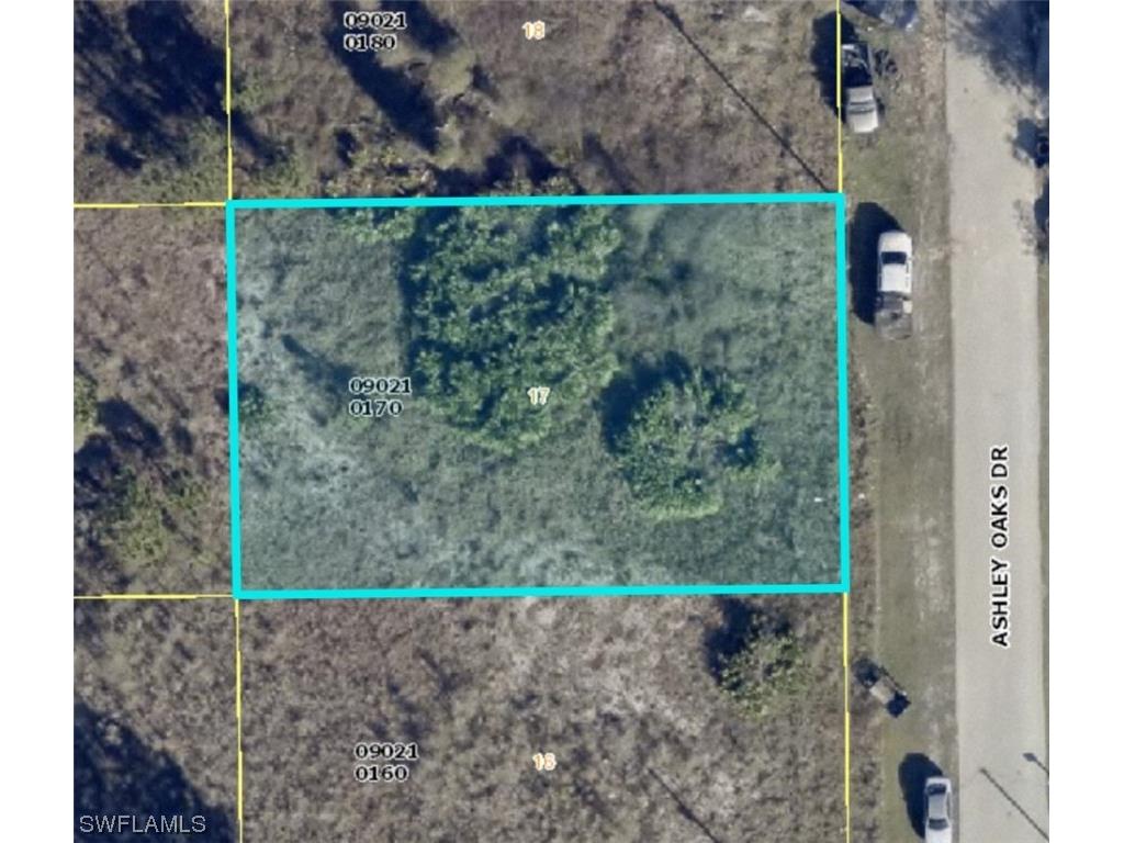 941 Ashley Oaks Drive Lehigh Acres FL 33974 223064402 image1