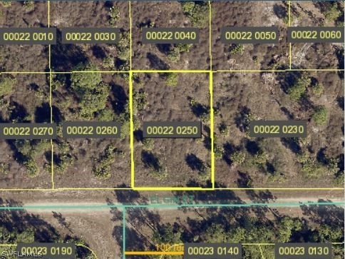 941 Elgin Street Lehigh Acres FL 33974 222070119 image1