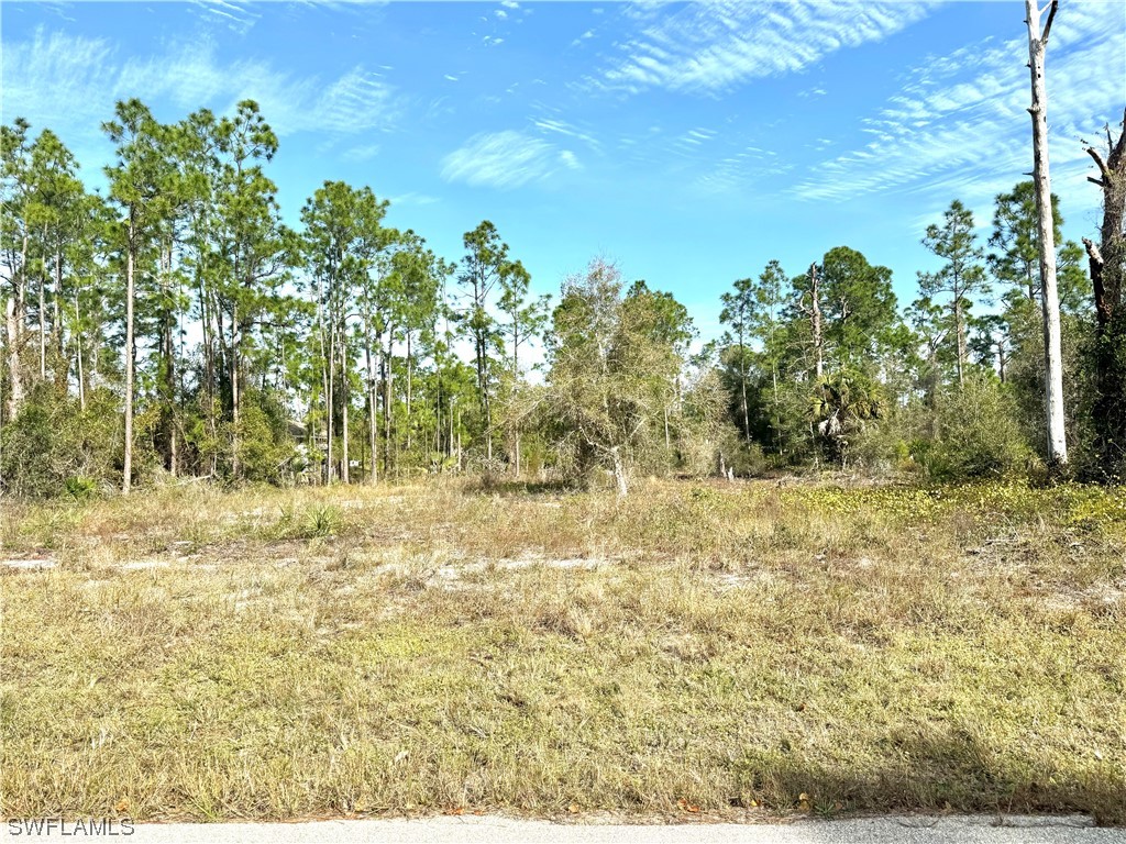 943 E Belmont Street Lehigh Acres FL 33974 224002513 image1