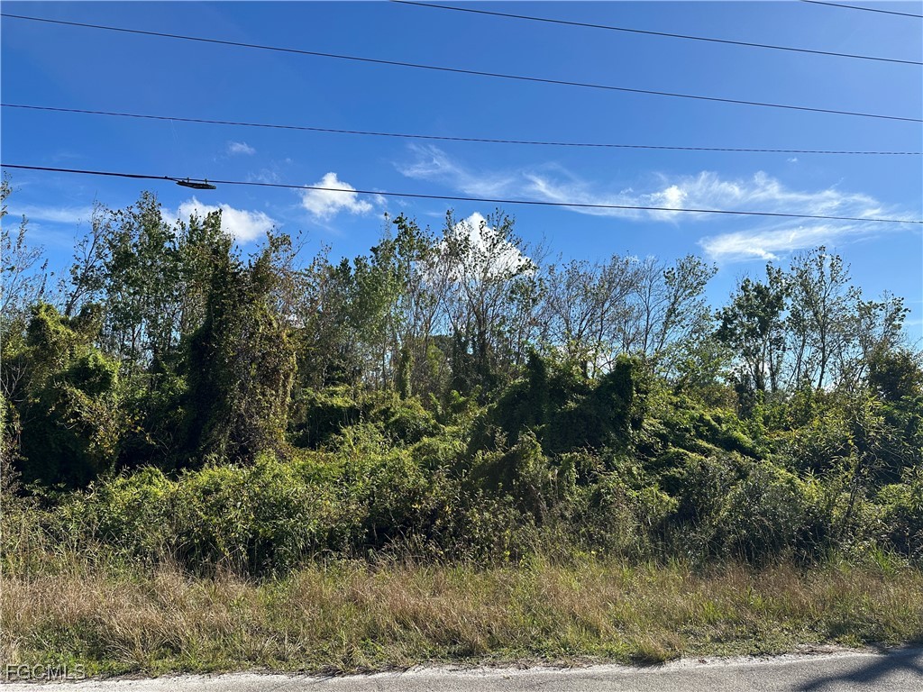 943 Joponica Avenue S Lehigh Acres FL 33974 2026001271 image1