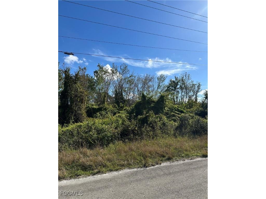 943 Joponica Avenue S Lehigh Acres FL 33974 2026001271 image2