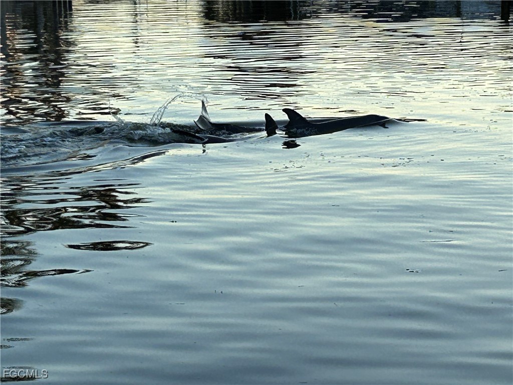 946 Whelk Drive Sanibel FL 33957 2025014644 image30