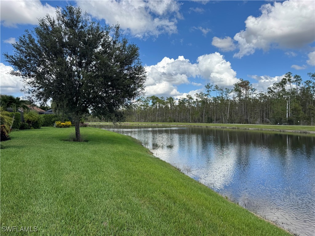 9470 Galliano Terrace Naples FL 34119 225078275 image47