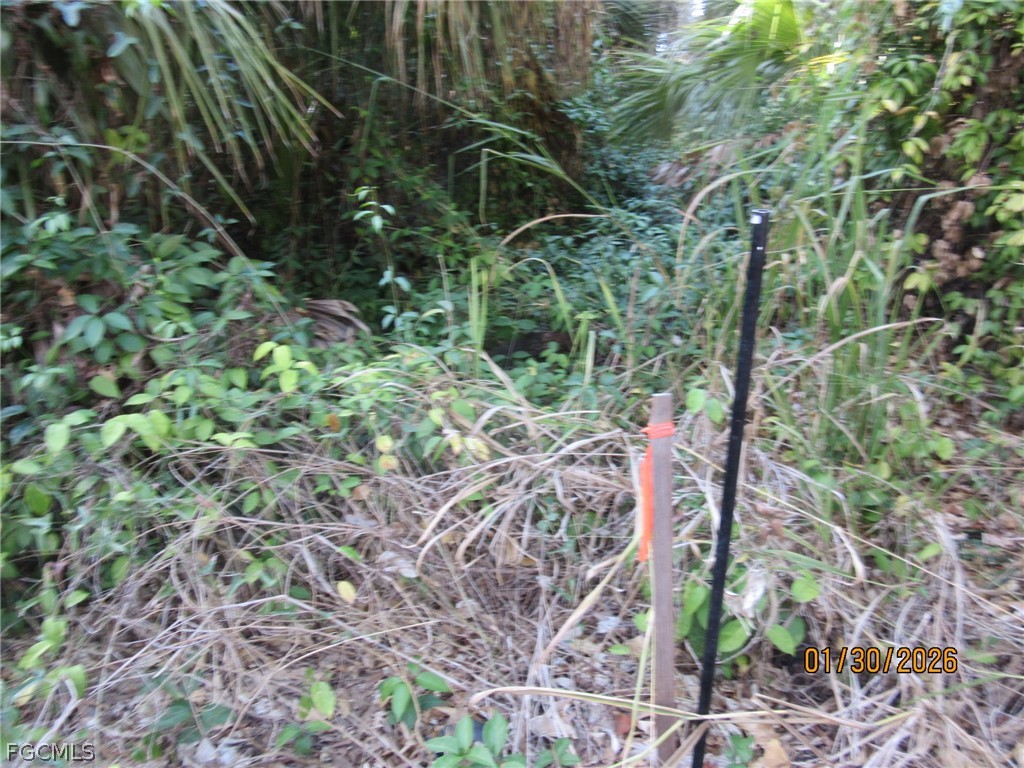 949 Caloosahatchee Avenue Labelle FL 33935 2026008531 image3