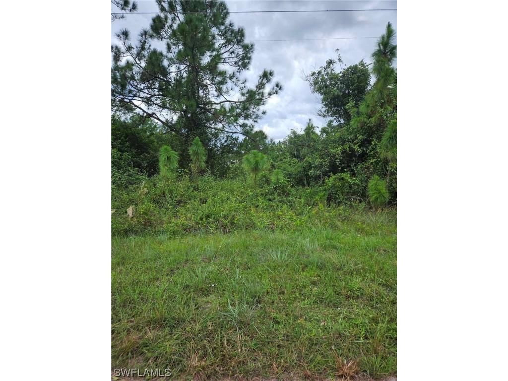 950 Candlelight Drive Lehigh Acres FL 33974 223063552 image1