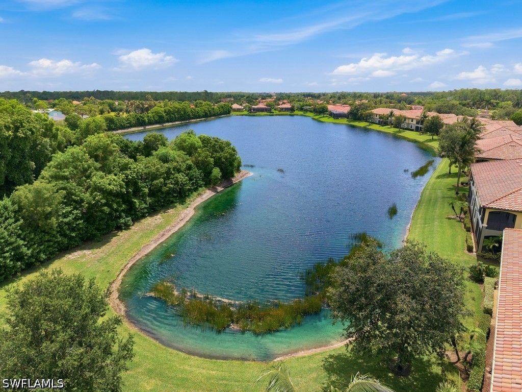 9502 Napoli Lane #26201 Naples FL 34113 226022838 image23