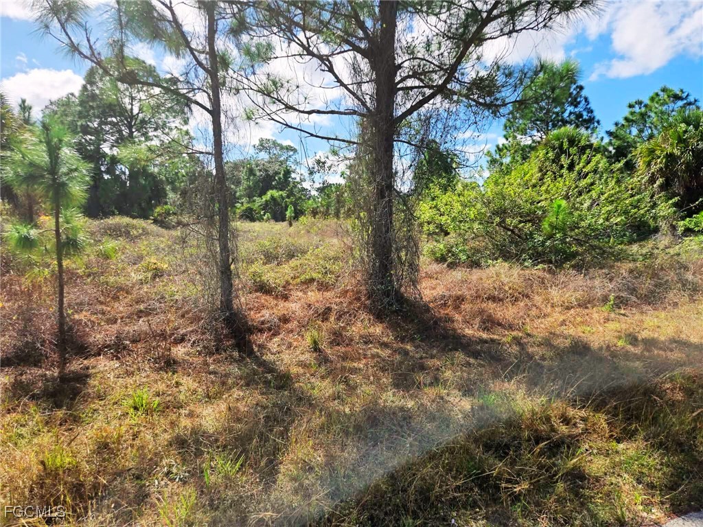 951 Chadwick Avenue Lehigh Acres FL 33974 2026003140 image1