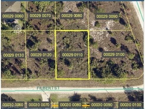 951 Filbert Street Lehigh Acres FL 33974 222070116 image1
