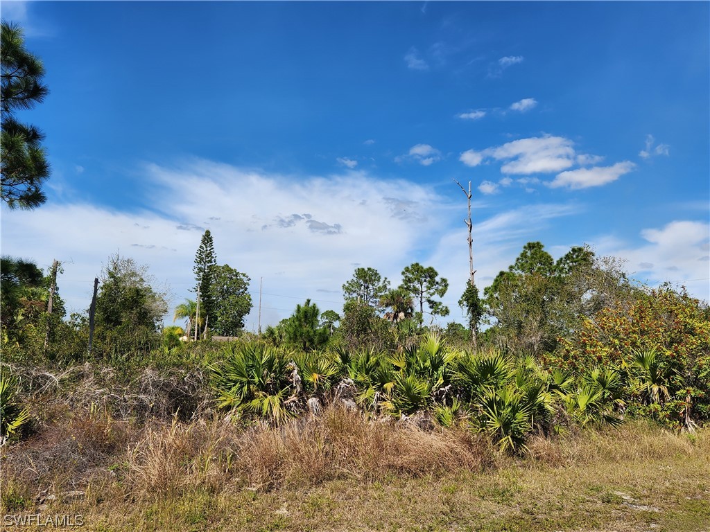 951 Green Street E Lehigh Acres FL 33974 224013410 image1