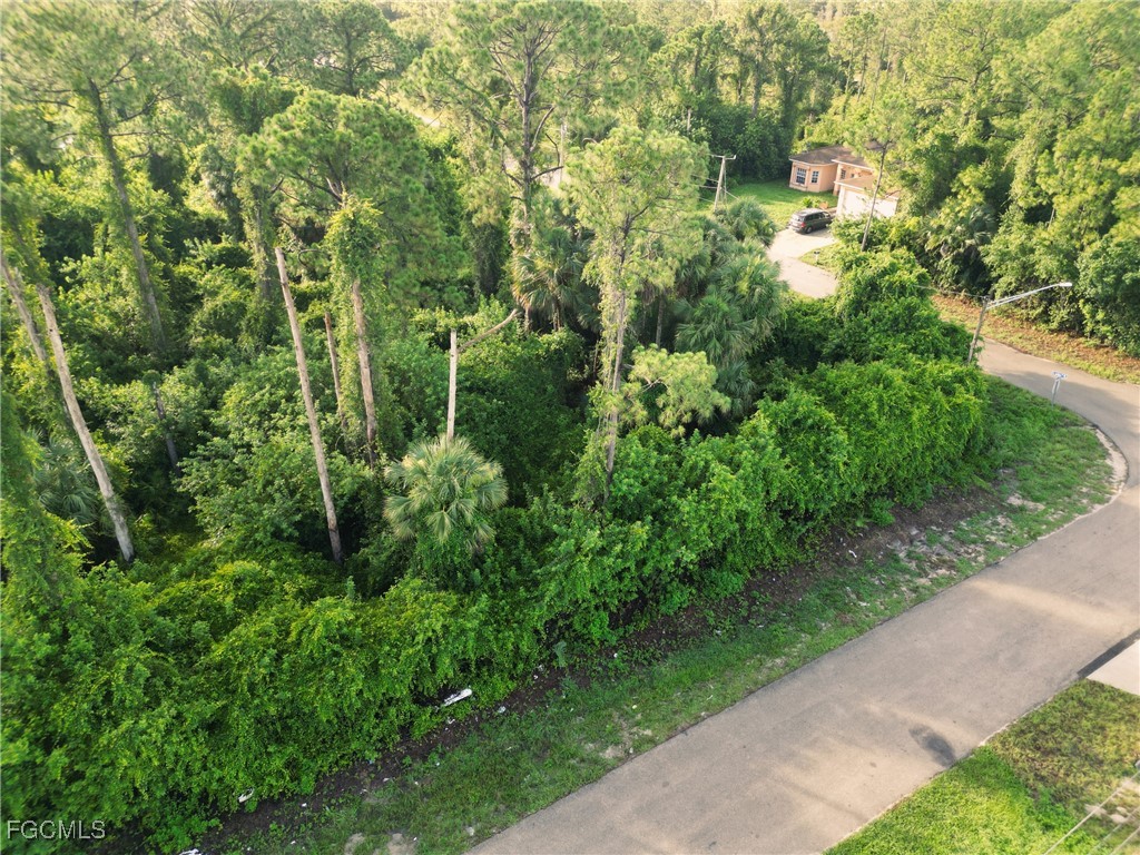 953 Lytle Street E Lehigh Acres FL 33974 2025006448 image7