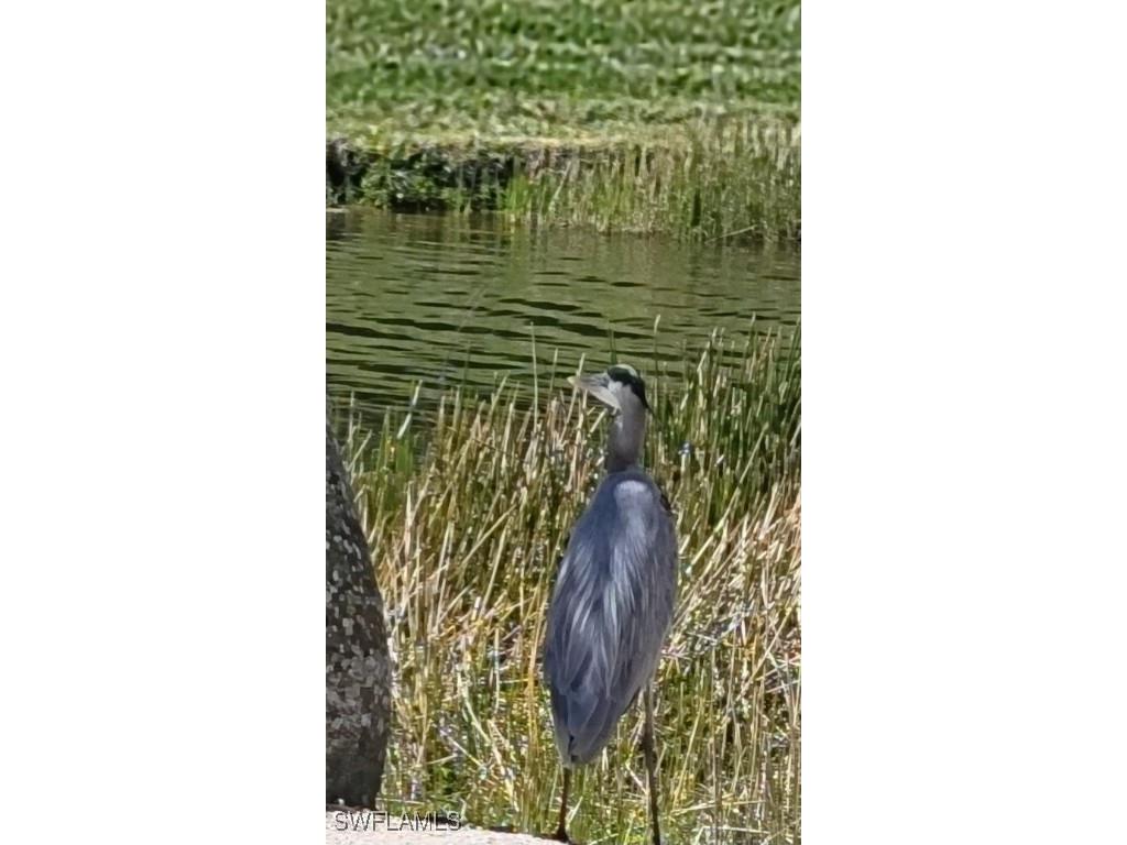 9534 Hemingway Lane Fort Myers FL 33913 225066703 image38