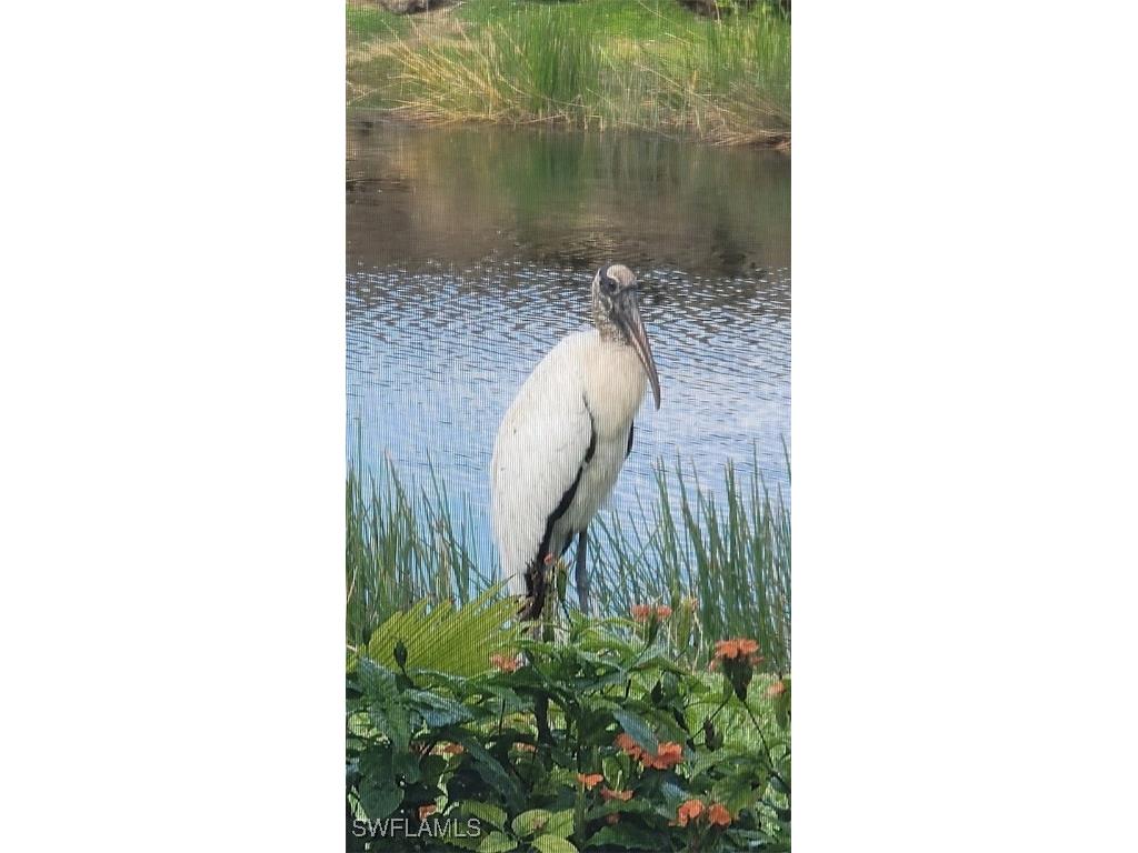 9534 Hemingway Lane Fort Myers FL 33913 225066703 image39