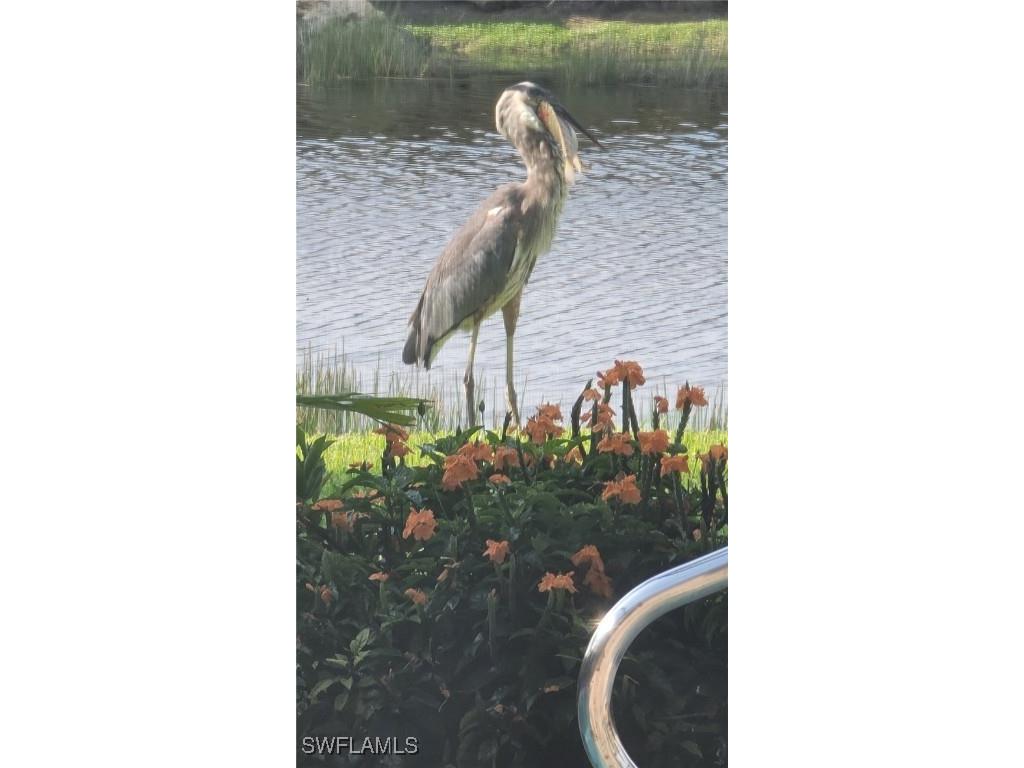 9534 Hemingway Lane Fort Myers FL 33913 225066703 image40