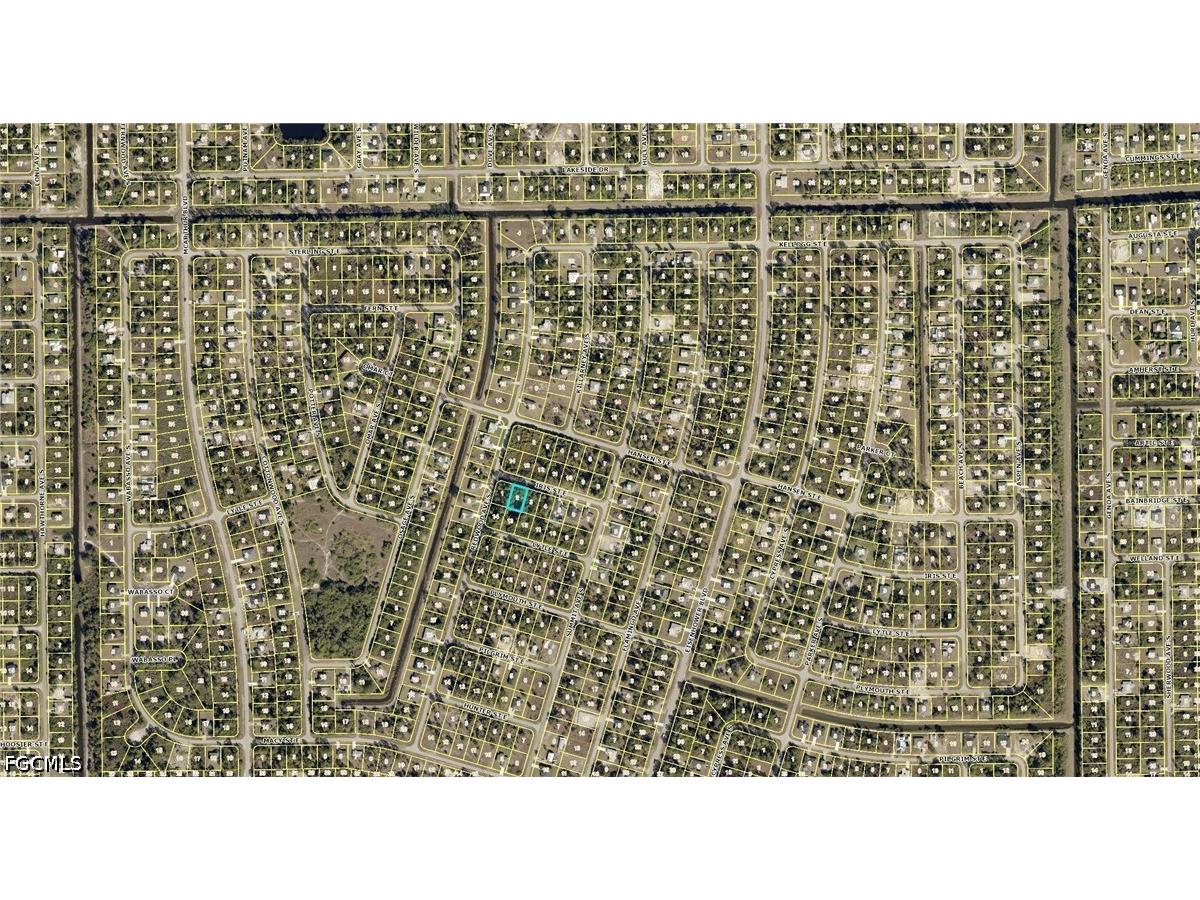 954 Iris Street E Lehigh Acres FL 33974 2026029462 image5