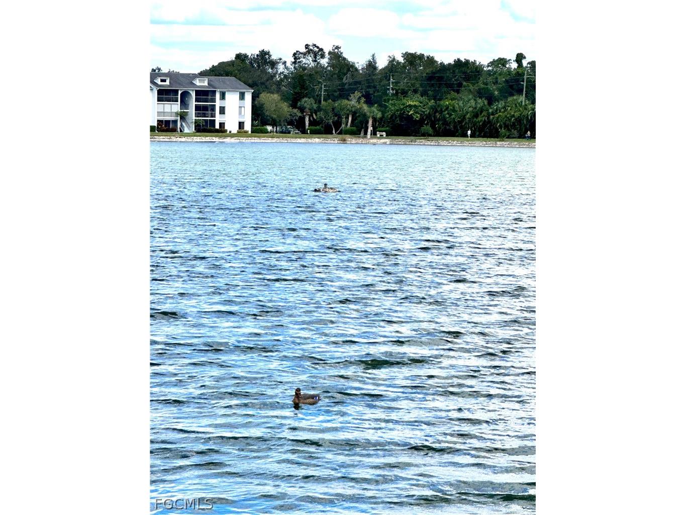 9540 Green Cypress Lane #11 Fort Myers FL 33905 2026011566 image41