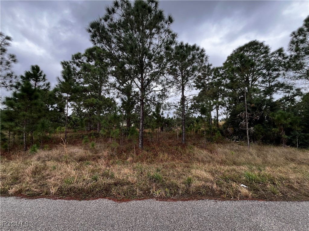 956 Derby Street Lehigh Acres FL 33974 2026002280 image1