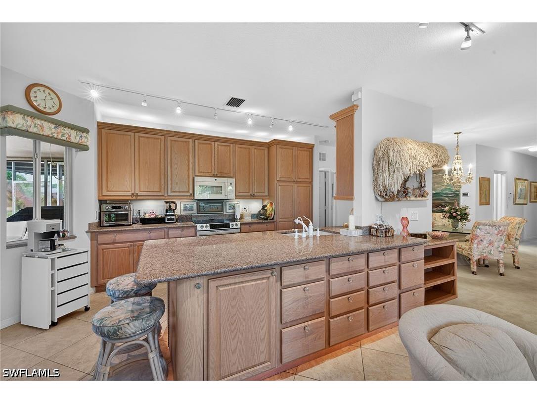 9560 Village View Boulevard Bonita Springs FL 34135 226013672 image4