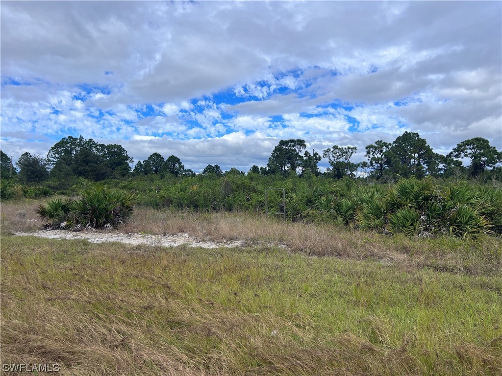 957 Jaguar Boulevard Lehigh Acres FL 33974 223087814 image1