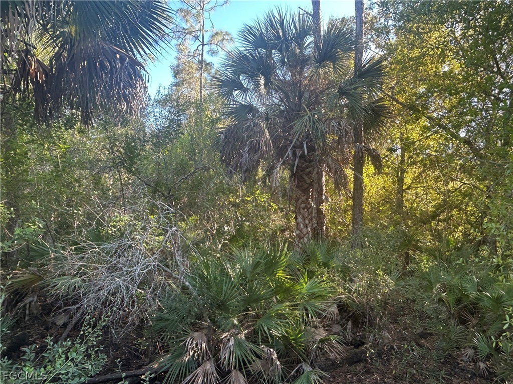 9580 Councilor Lane North Fort Myers FL 33917 2026006118 image2