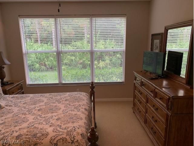 9583 Hemingway Lane #4301 Fort Myers FL 33913 225056191 image21