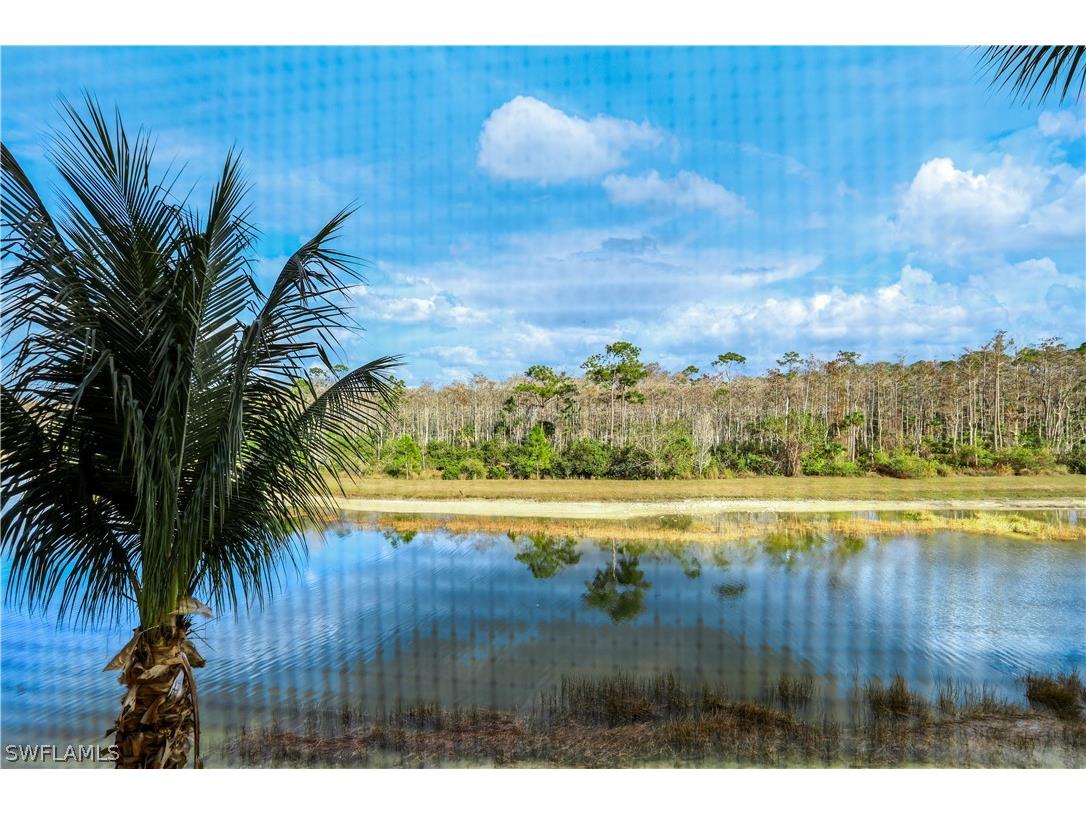 9590 Trevi Court #5334 Naples FL 34113 226007837 image21