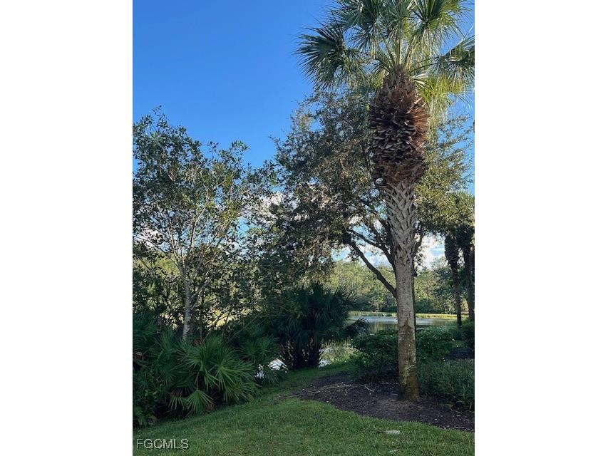 9603 Hemingway Lane #4001 Fort Myers FL 33913 2025014353 image17