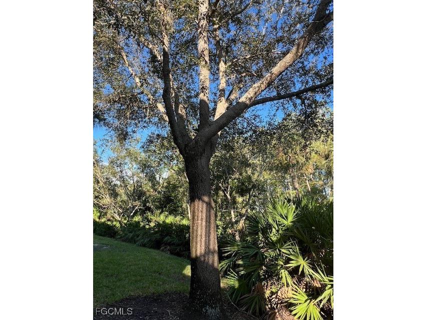 9603 Hemingway Lane #4001 Fort Myers FL 33913 2025014353 image18