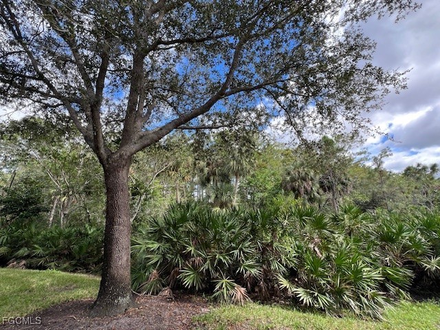 9603 Hemingway Lane #4001 Fort Myers FL 33913 2025014353 image19