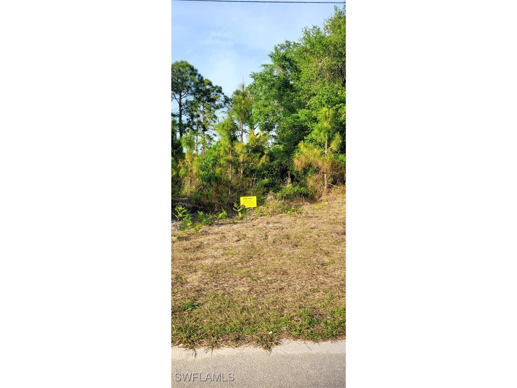 961 Iris Street E Lehigh Acres FL 33974 225031036 image1