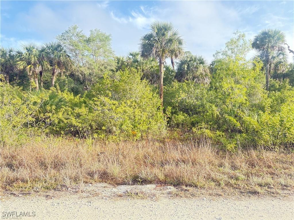 961 Plymouth Street E Lehigh Acres FL 33974 225065253 image2