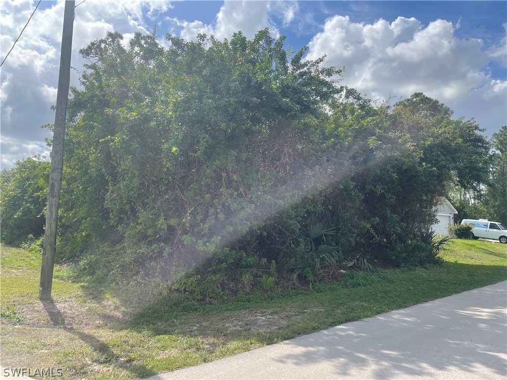 962 Iris Street E Lehigh Acres FL 33974 223011565 image1