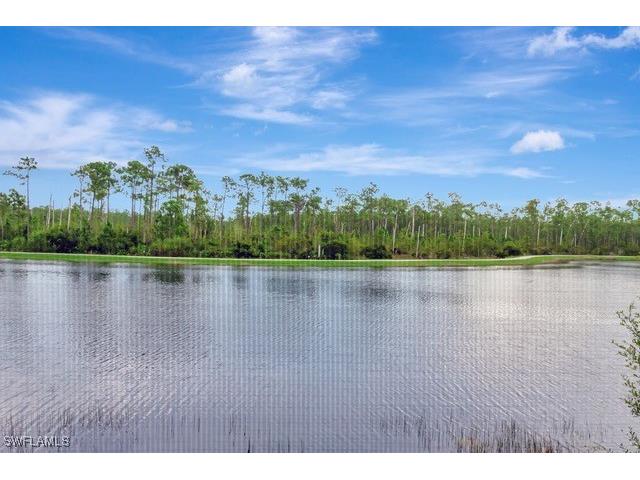 9637 Montelanico Loop #203 Naples FL 34119 225078458 image31