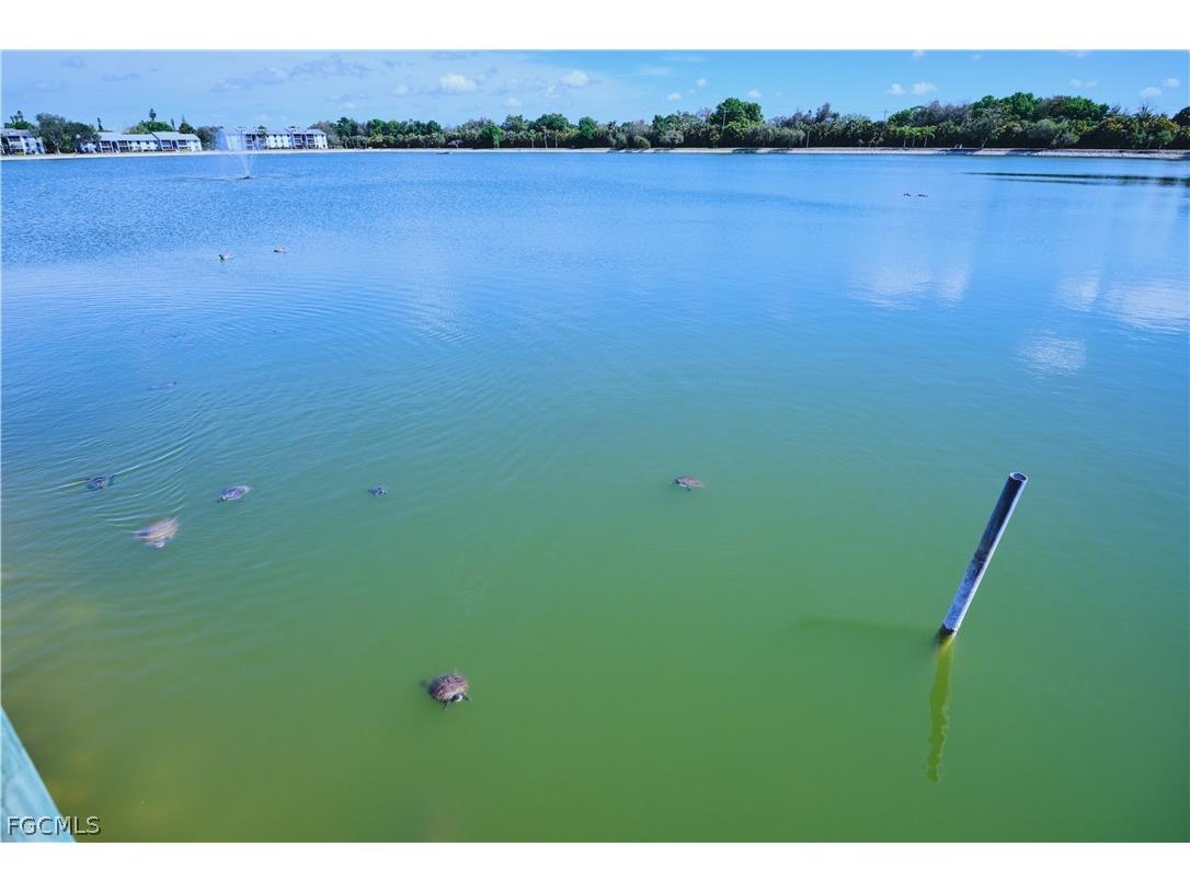 9650 Green Cypress Lane #22 Fort Myers FL 33905 2026009431 image15