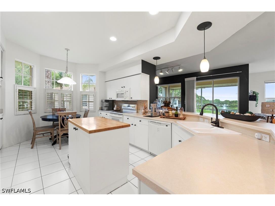 9670 Village View Boulevard #201 Bonita Springs FL 34135 226020827 image4