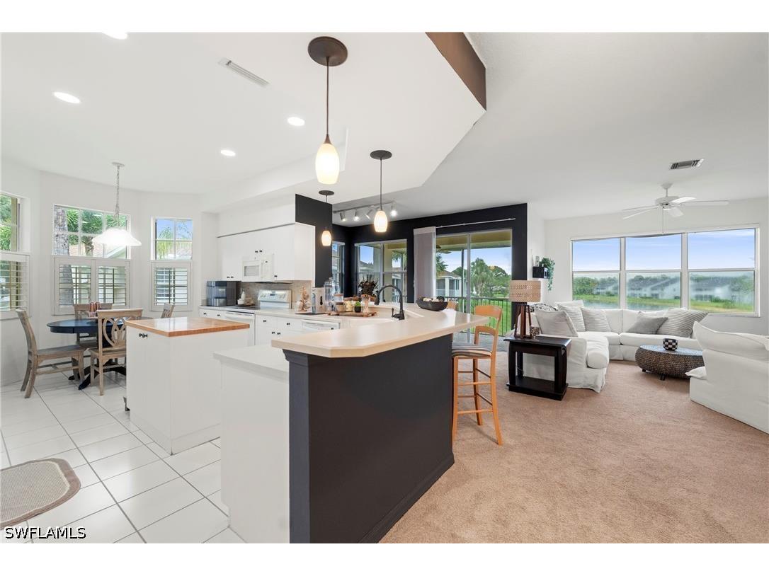 9670 Village View Boulevard #201 Bonita Springs FL 34135 226020827 image9