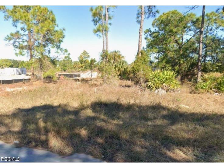 969 Gleason Street Lehigh Acres FL 33974 2026016030 image3
