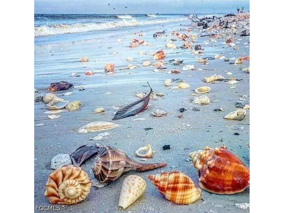 970 Sand Castle Road Sanibel FL 33957 2026016497 image41