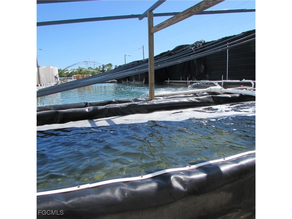 9703 Stringfellow Road Saint James City FL 33956 2025008101 image13