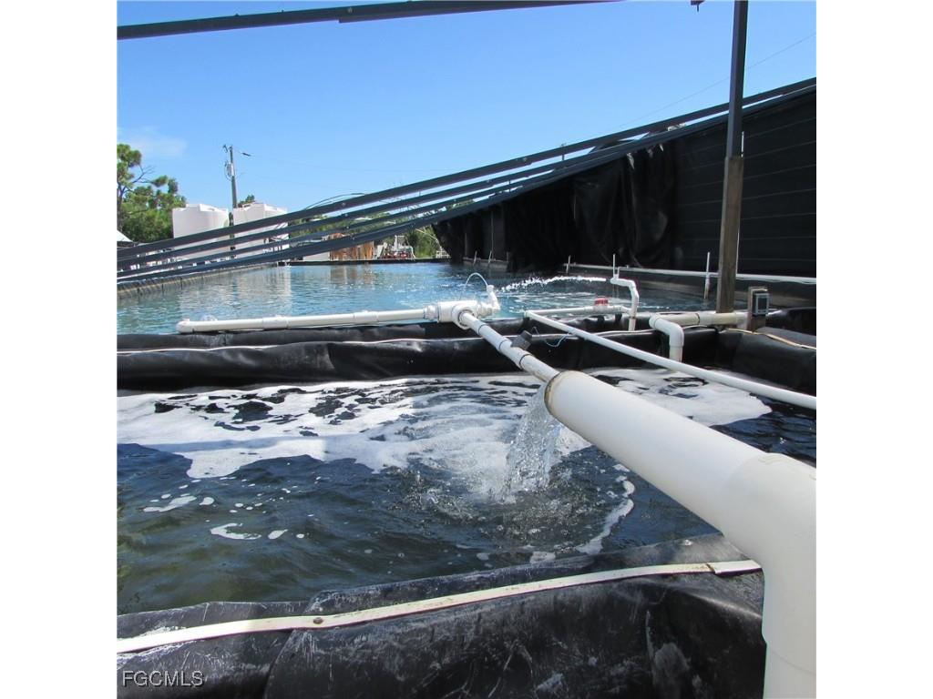 9703 Stringfellow Road Saint James City FL 33956 2025008101 image14